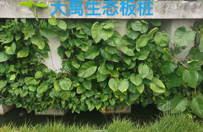 生態U型板樁 生態U型板樁